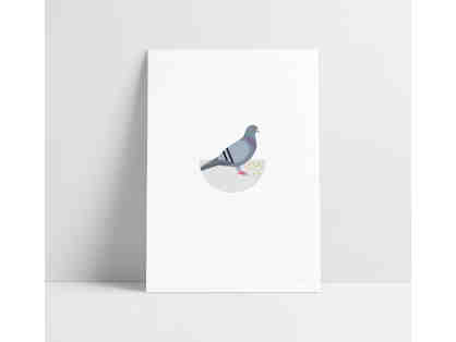 Rock Pigeon archival print by Erin Coughlin