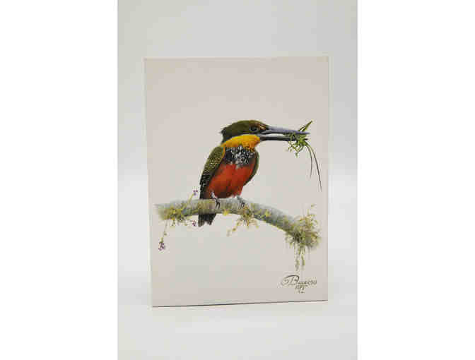 Two kingfisher small watercolor paintings