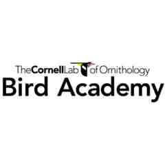 Bird Academy Shorebird Identifcation