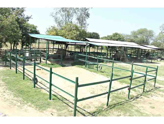 Naming Rights to Bhola's Abode