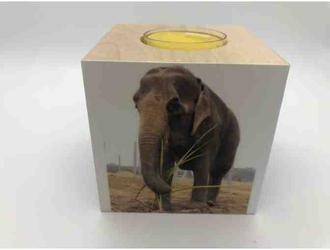 Tealight Candle Holder Featuring Karma the Elephant