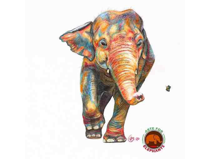 8 Elephant Art Cards and Set of Elephant Coasters