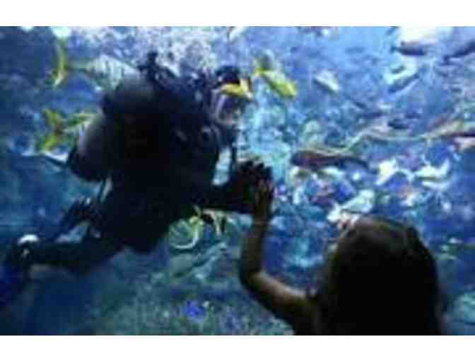 Long Beach Aquarium of the Pacific - 2 Admission Passes