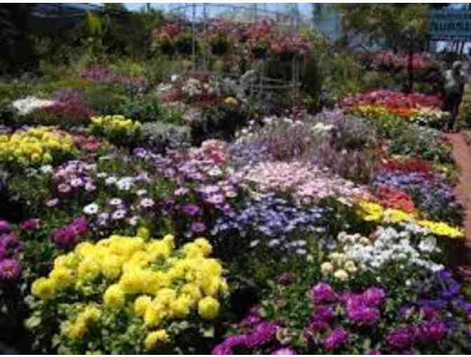 $50 Gift Certificate to Merrihew's Sunset Garden