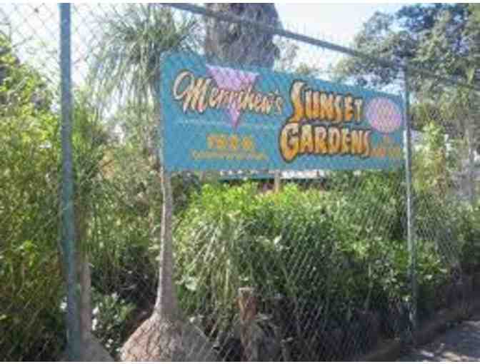 $50 Gift Certificate to Merrihew's Sunset Garden