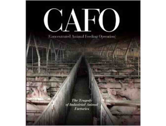 CAFO: The Tragedy of Industrial Animal Factories