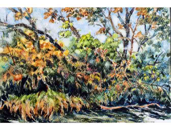 Bank of the Sugar River Watercolor Painting by Sally Probasco