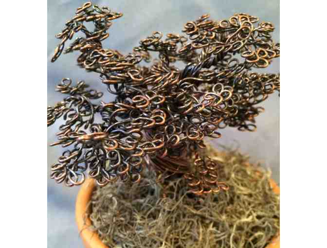 Mini Wire Tree Sculpture in Clay Pot by Karen Favreau