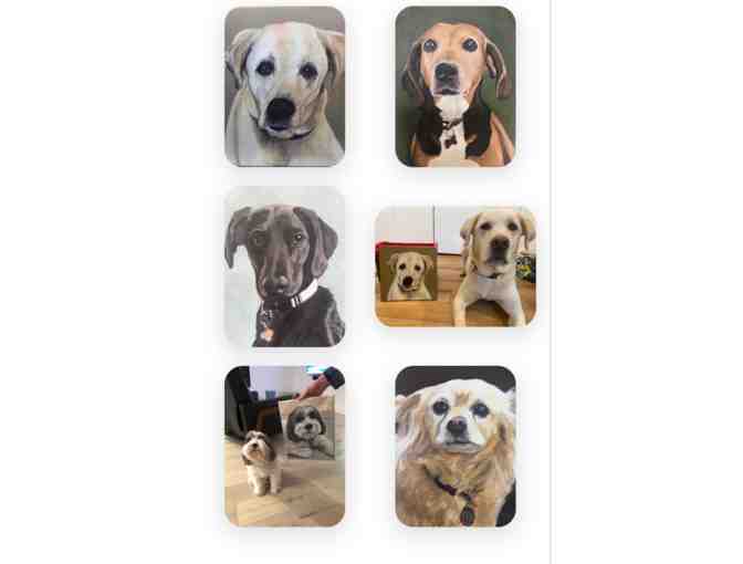 Pet Portrait by Pete