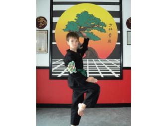 One Month VIP Pass of Martial Arts Training from United Studios of Self Defense