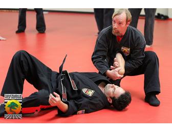 One Month VIP Pass of Martial Arts Training from United Studios of Self Defense