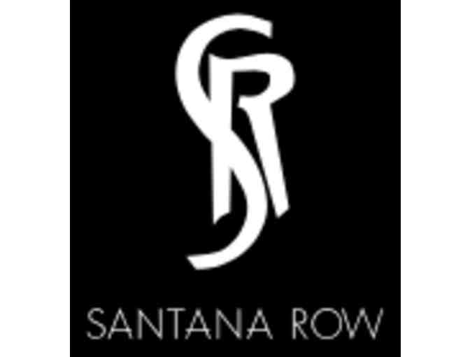 Santana Row VIP Shopping Day For Eight Women- San Jose