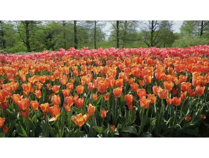 Two Admission Tickets to Longwood Gardens
