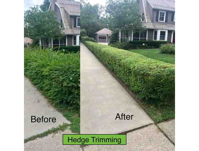 Hedge Trimming by Freddy Walter