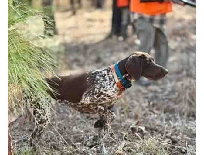 Hunting Excursion for 2 - Longleaf Plantation - Photo 6