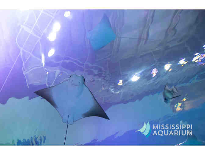 Mississippi Aquarium