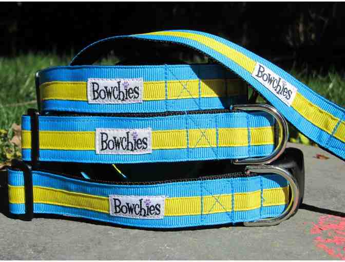 $50 of fun dog collars and accessories from Bowchies