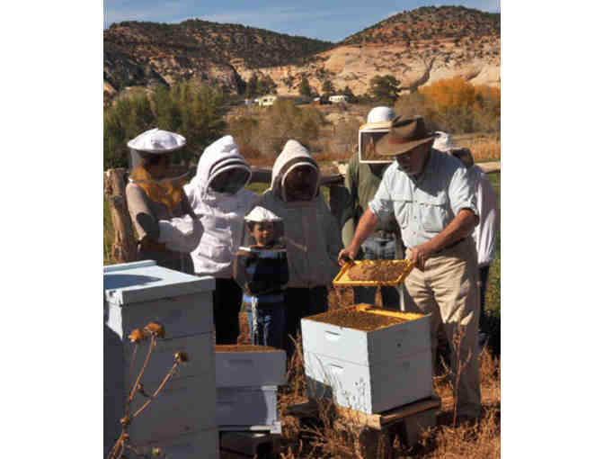 Moab Honey Bee Hive Tour with Jerry Shue