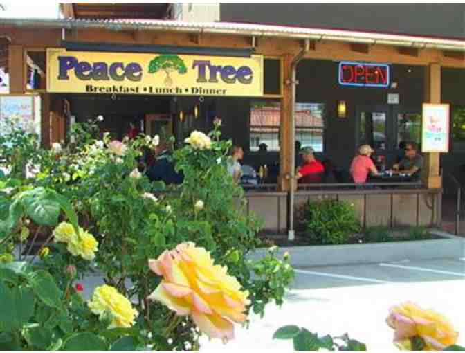 $30 Gift Certificate to the Peace Tree Juice Cafe