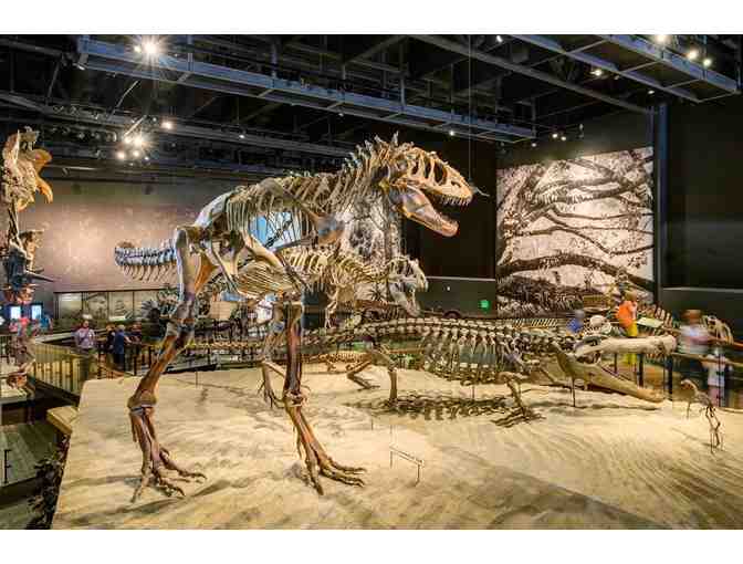 Natural History Museum of Utah, SLC - 'A Day at the Museum' Package