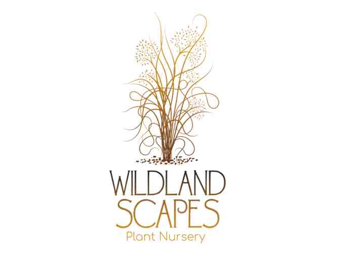 Wildland Scapes Nursery - DeWit Hori Knife