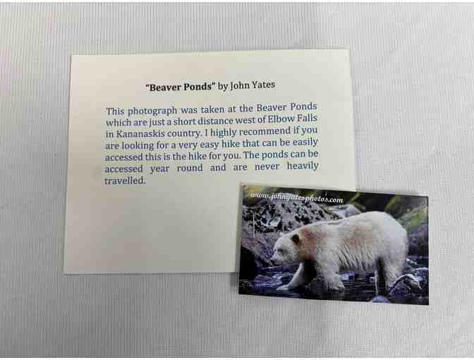 'Beaver Ponds' Metal Print by John Yates