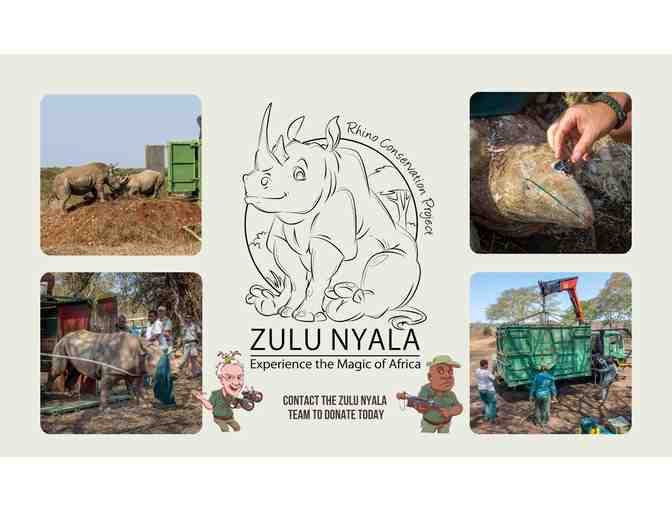 Experience the magic of Africa